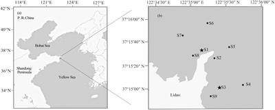 Genetic Assessment of a Black Rockfish, Sebastes schlegelii, Stock Enhancement Program in Lidao Bay, China Based on Mitochondrial and Nuclear DNA Analysis